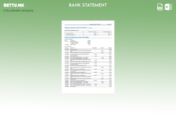 Модерен стил на САД MidFlorida банкарски изводи шаблон страници збор 1